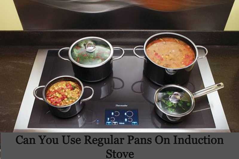 Can You Use Regular Pans On Induction Stove